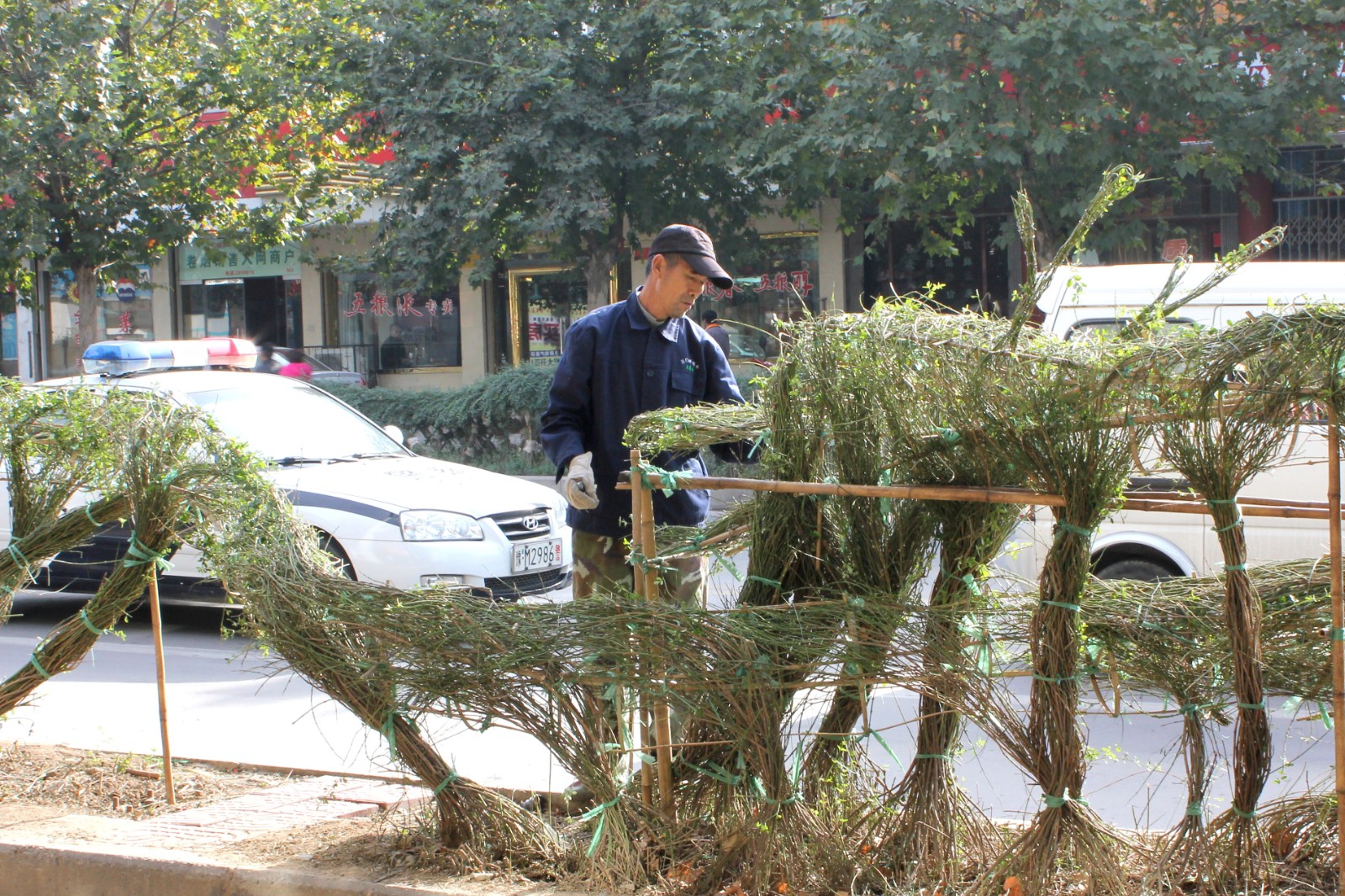 李师傅指导职工完成上阳路迎春植物造型11.JPG