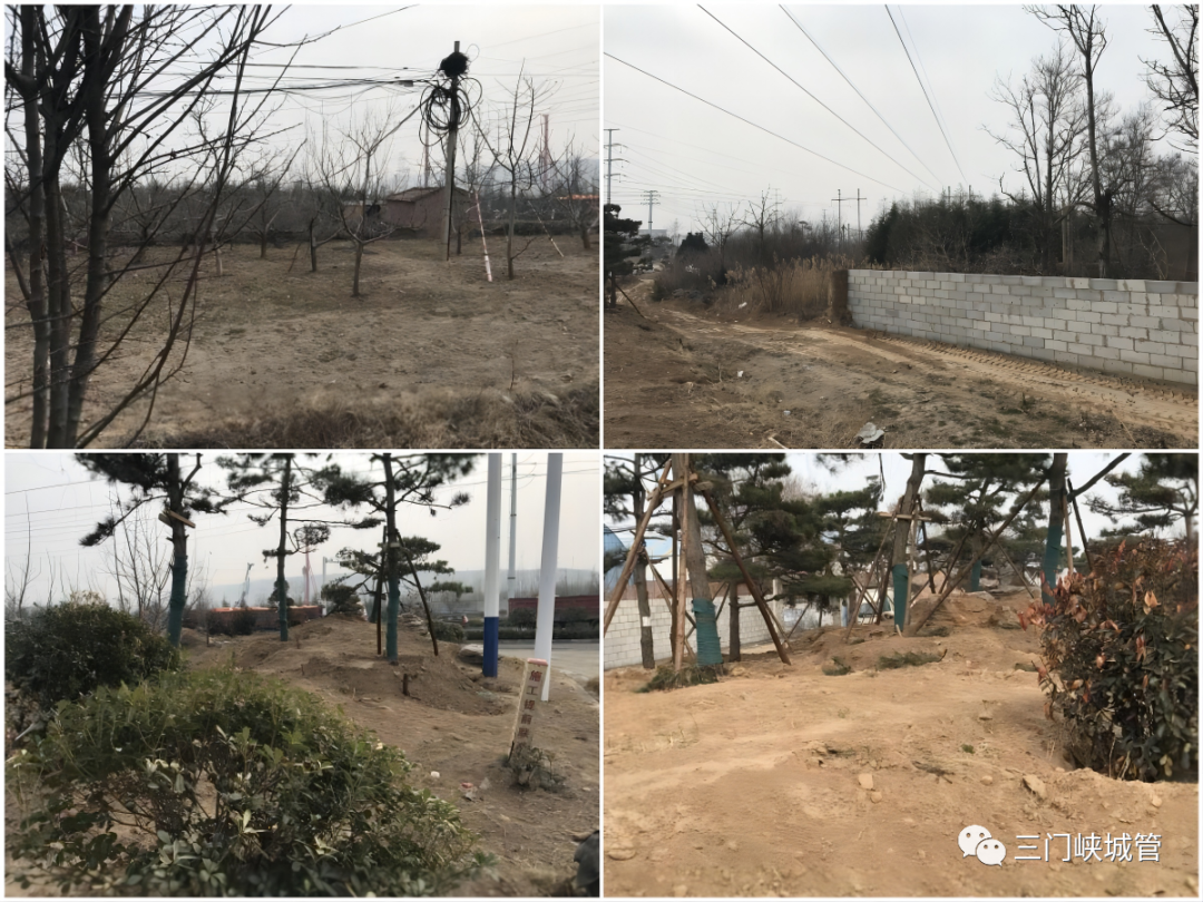 微信图片_20230329103810.png