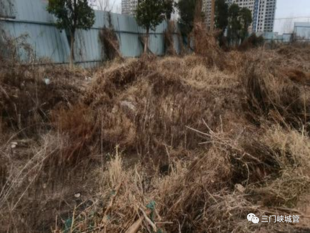 微信图片_20230330151429.png