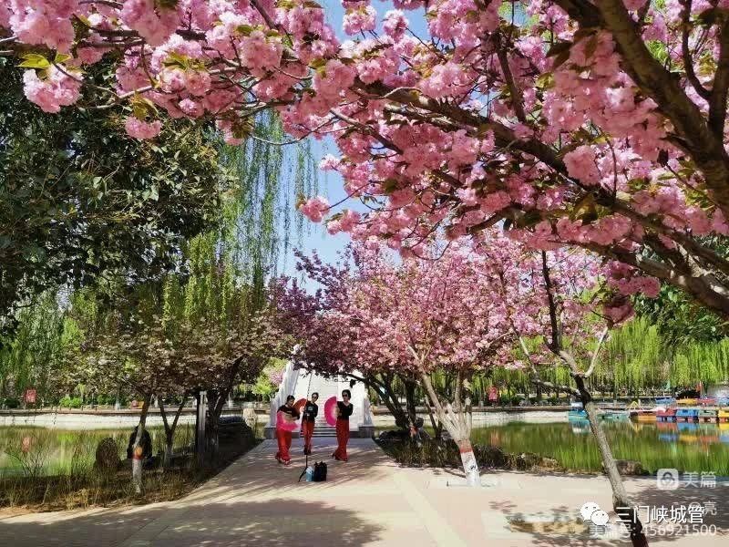 微信图片_20230404092656.jpg