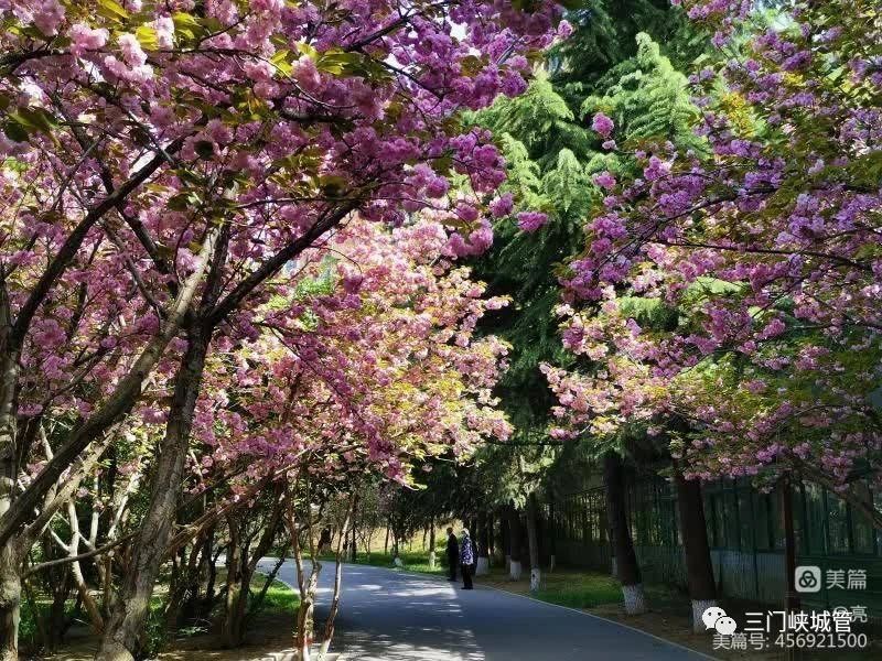 微信图片_20230404092708.jpg