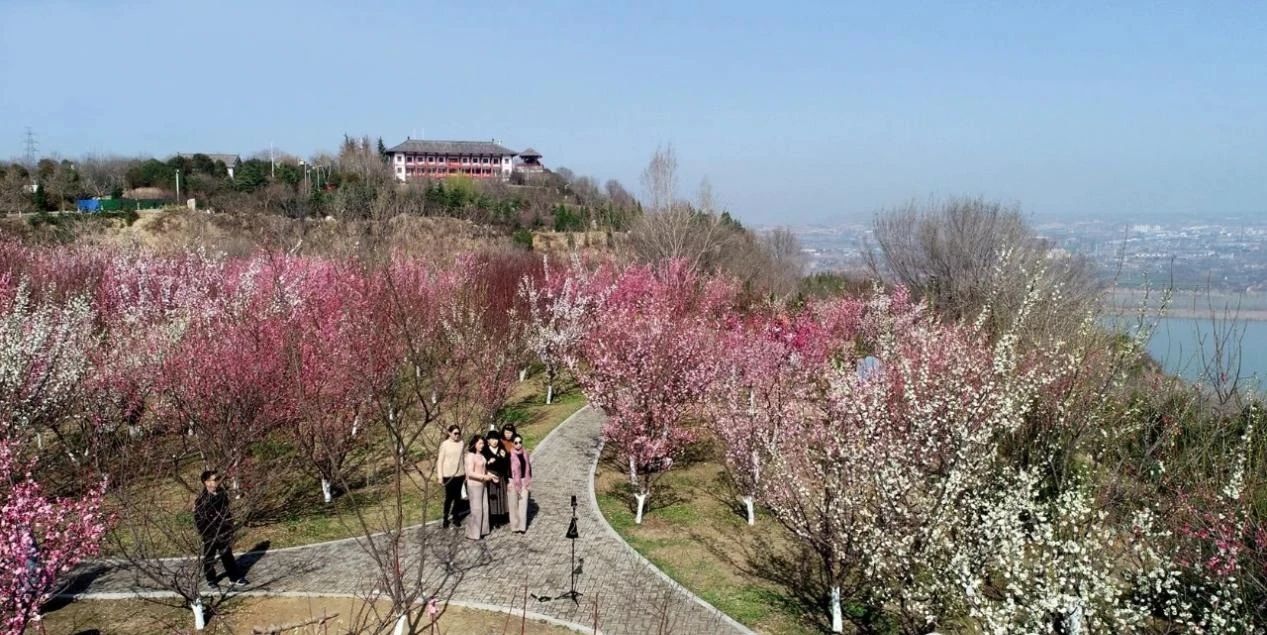 微信图片_20230404100606.jpg