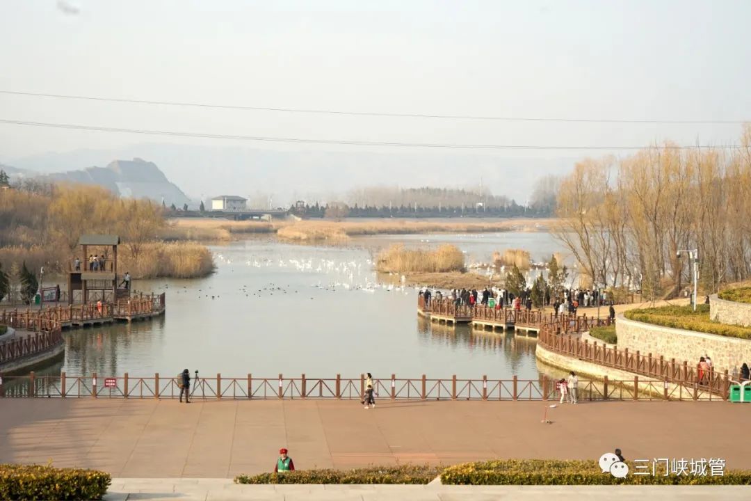 微信图片_20230210083418.jpg
