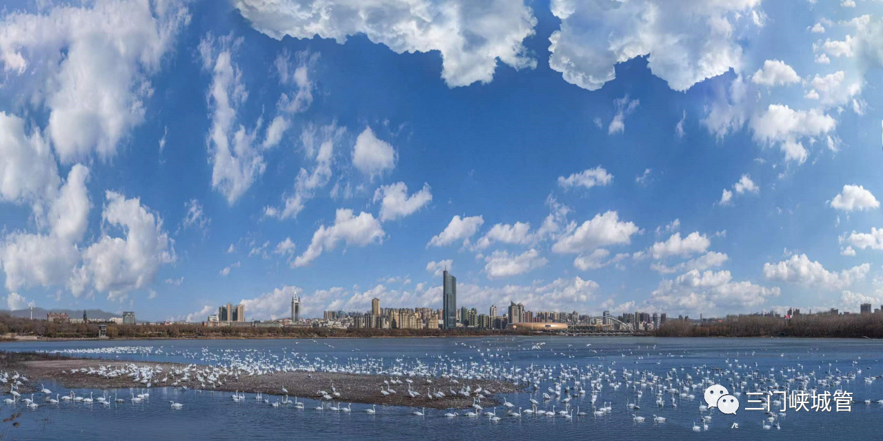微信图片_20230519093642.png