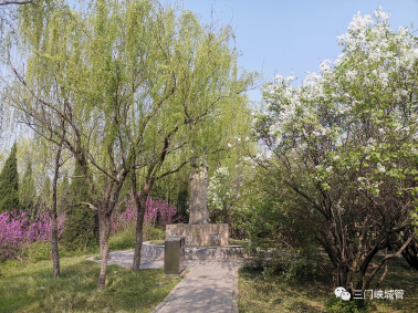 微信图片_20230404100011.png
