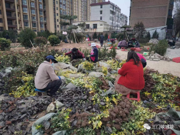 微信图片_20230406091536.png