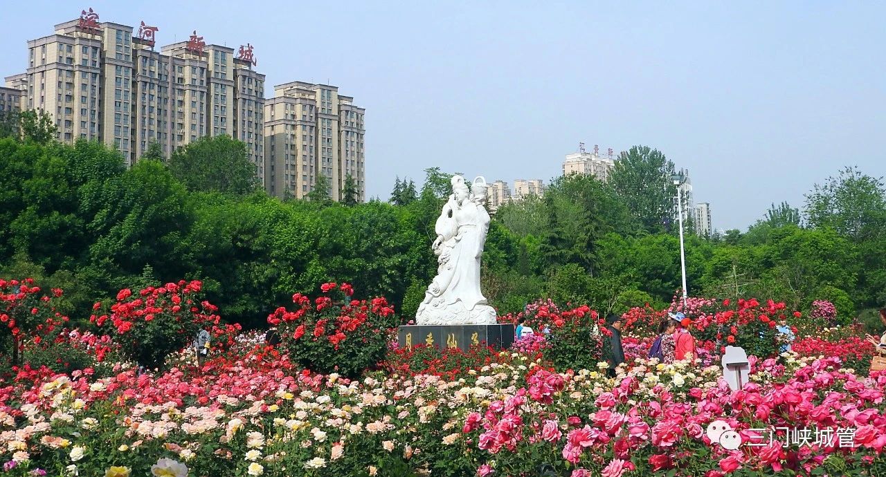 微信图片_20230504091334.jpg