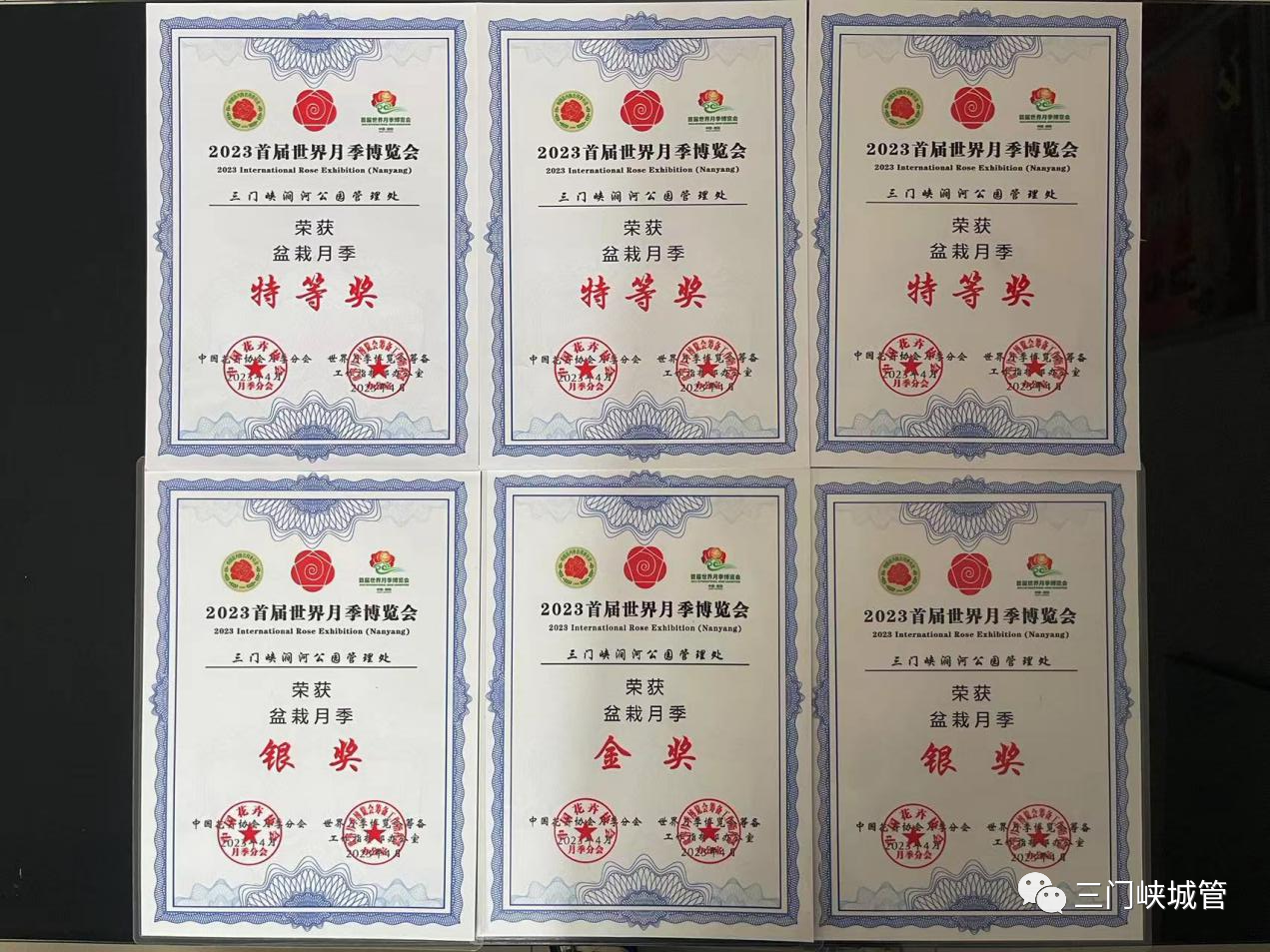 微信图片_20230627152954.png