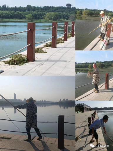 微信图片_20230711092943.png