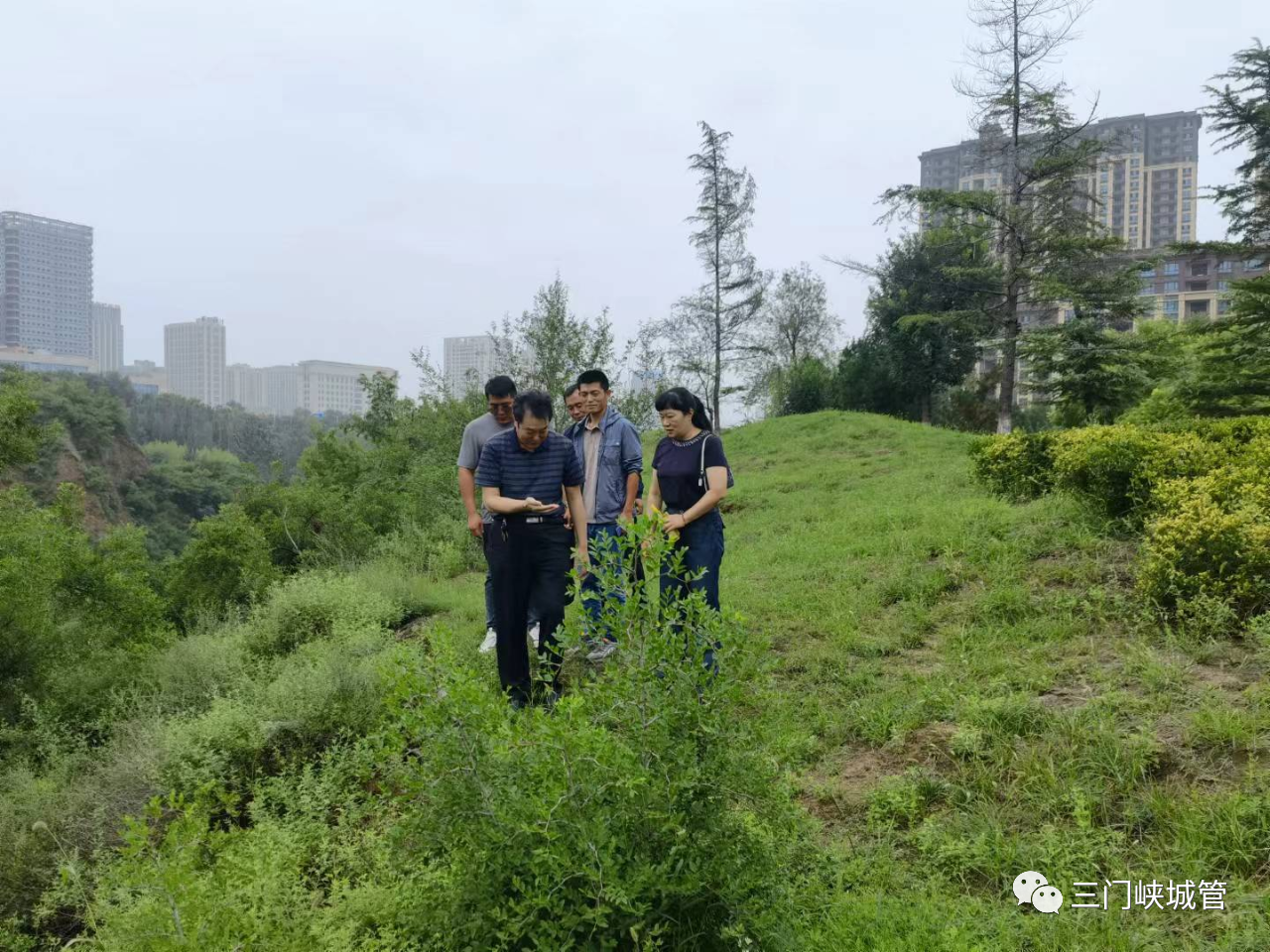 微信图片_20230725082445.png