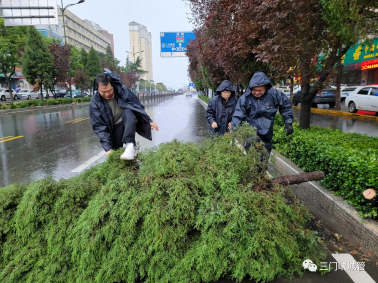 微信图片_20230725082446_2.png