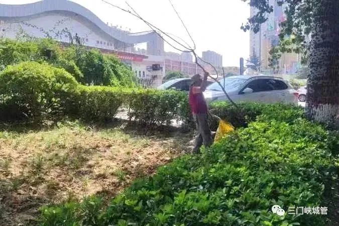 微信图片_20230727082724_7.jpg
