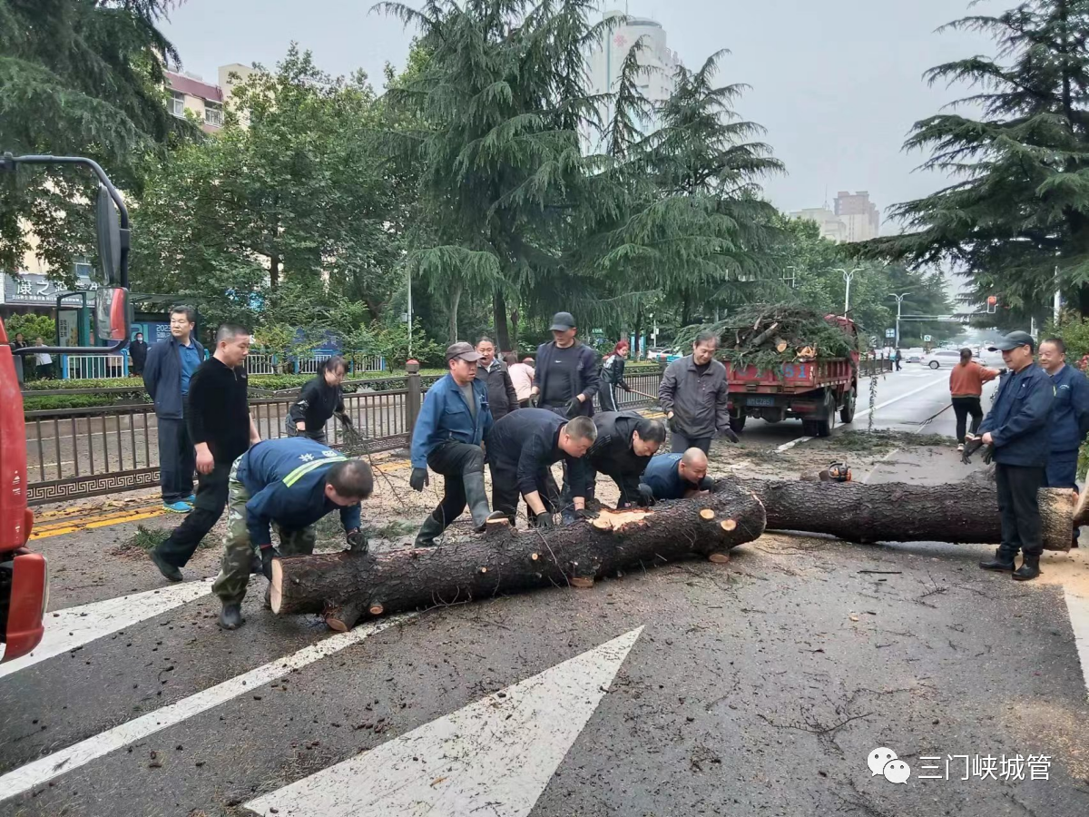 微信图片_20230602105149.png
