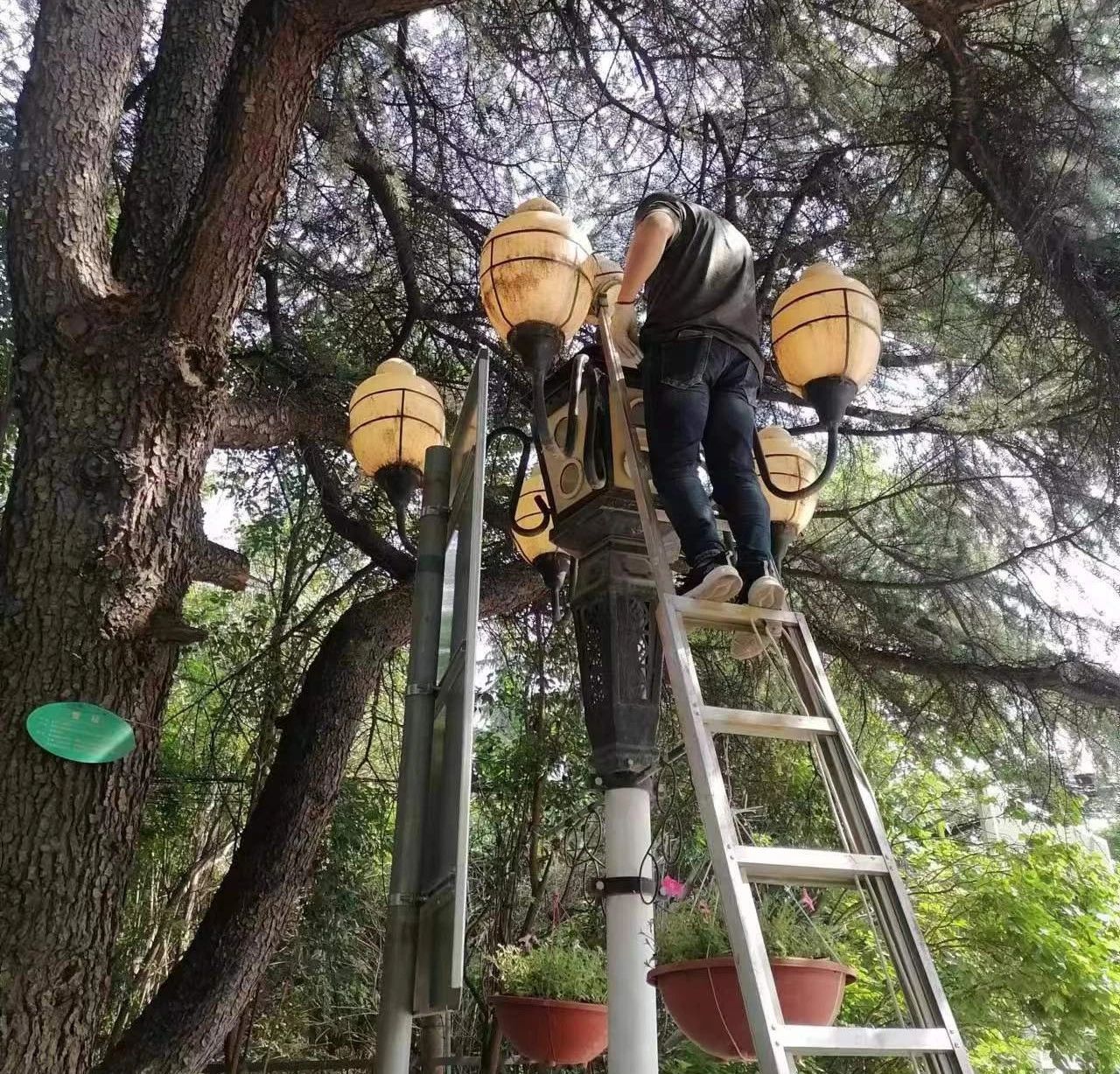 微信图片_20230605165820.jpg