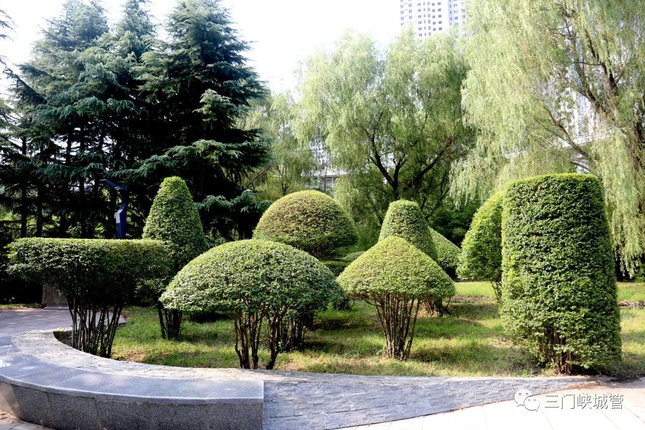 微信图片_20230811091719_6.jpg