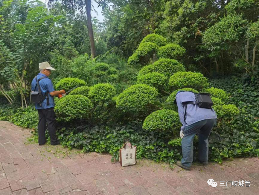微信图片_20230814150747_1.png