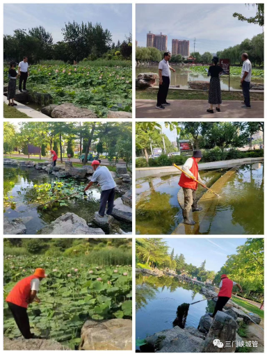 微信图片_20230711093025.png