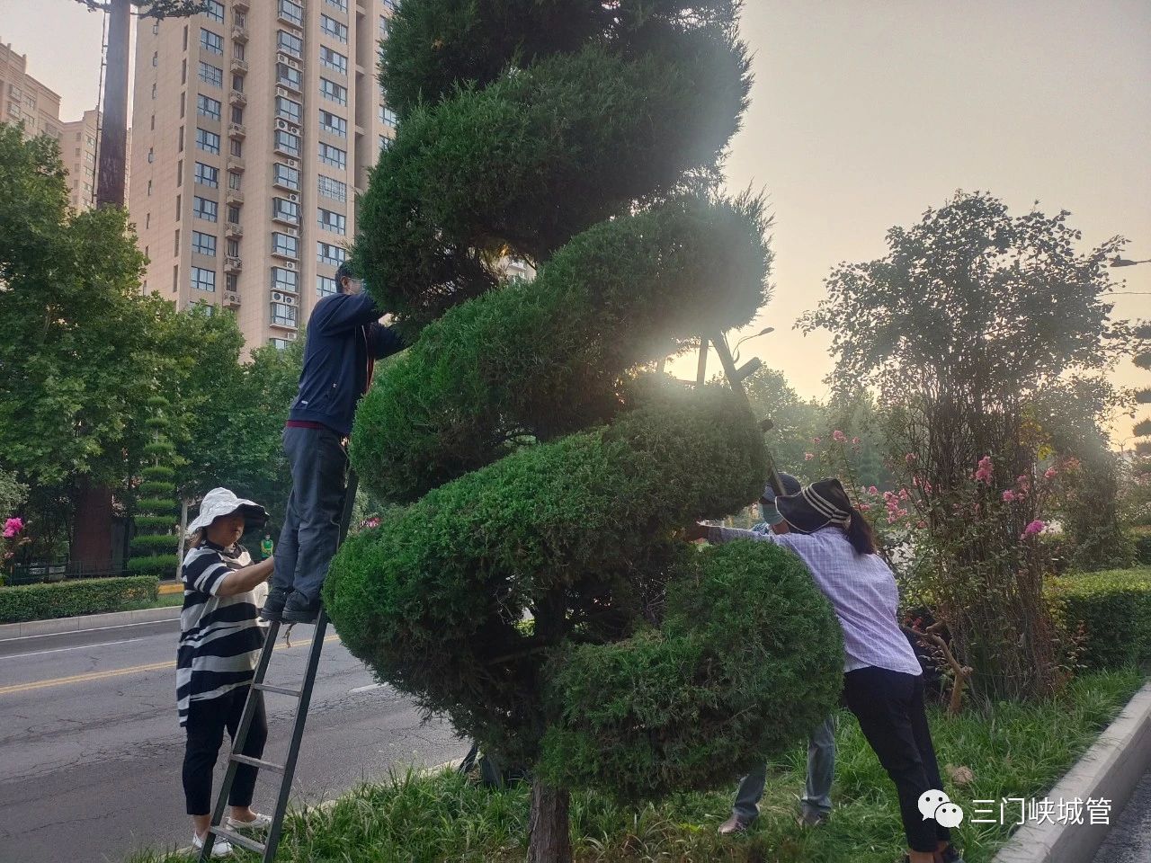 微信图片_20230911083523_1.jpg