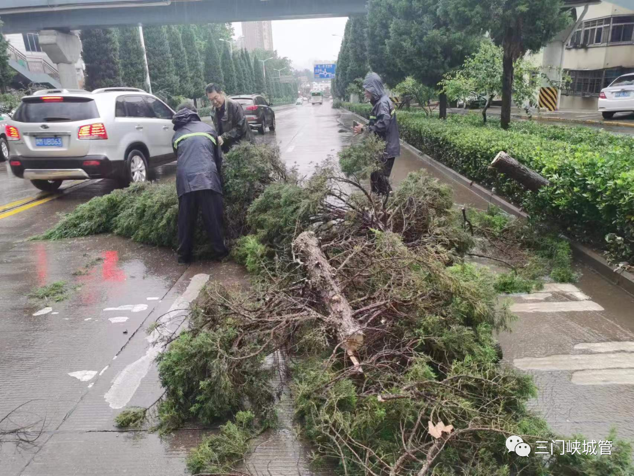 微信图片_20230725082447.png