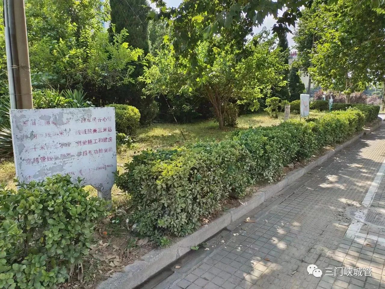 微信图片_20230803082504_1.jpg
