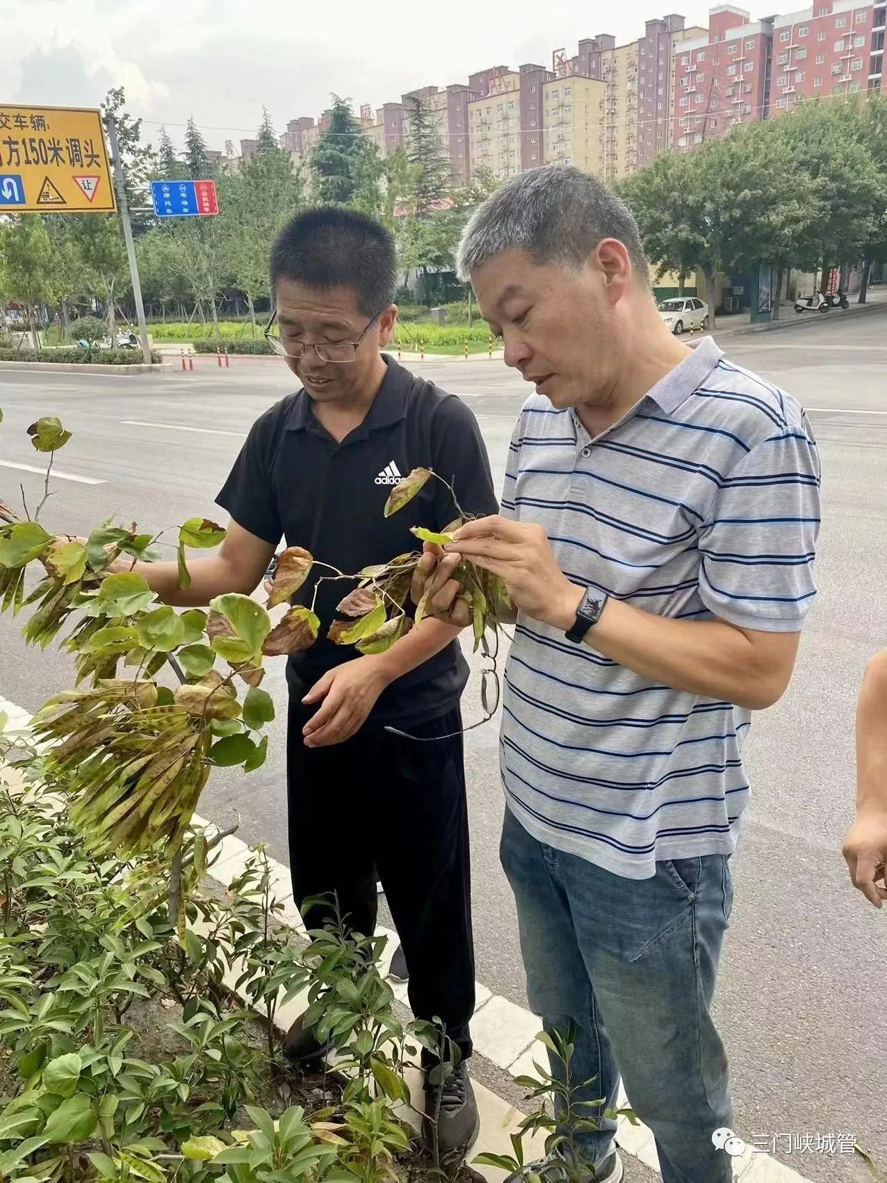 微信图片_20230918082505.jpg