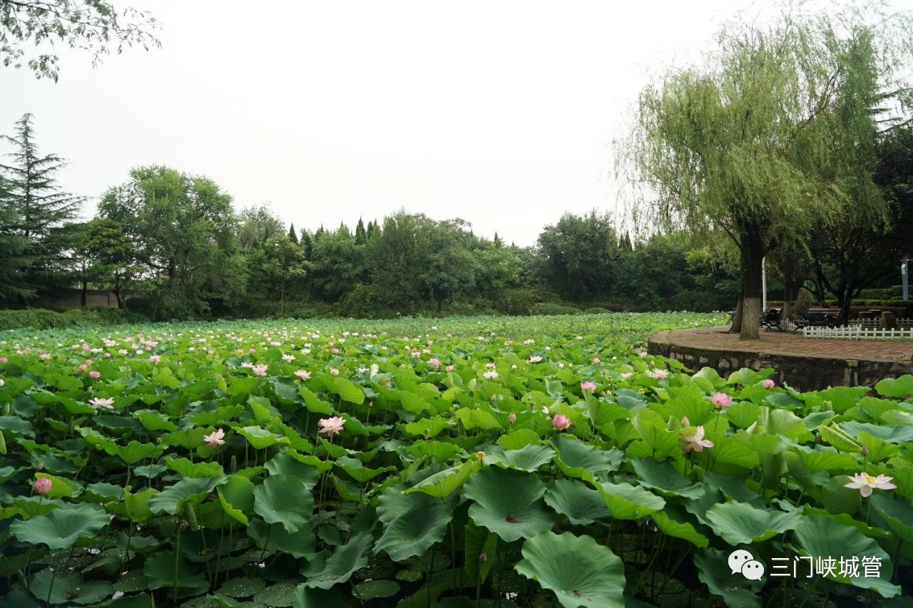 微信图片_20230810152402_8.jpg