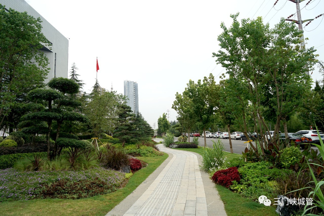 微信图片_20230810152403_1.jpg