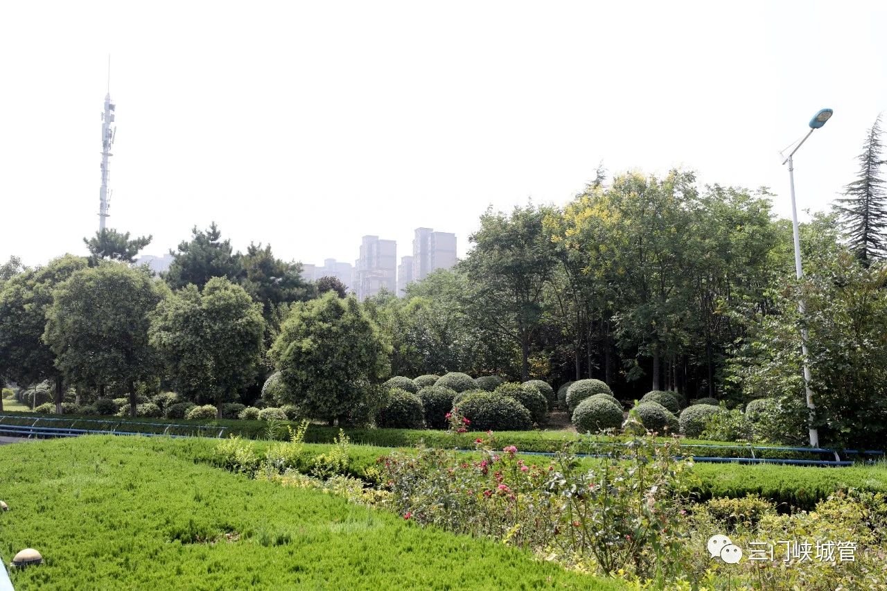 微信图片_20230811091719_7.jpg