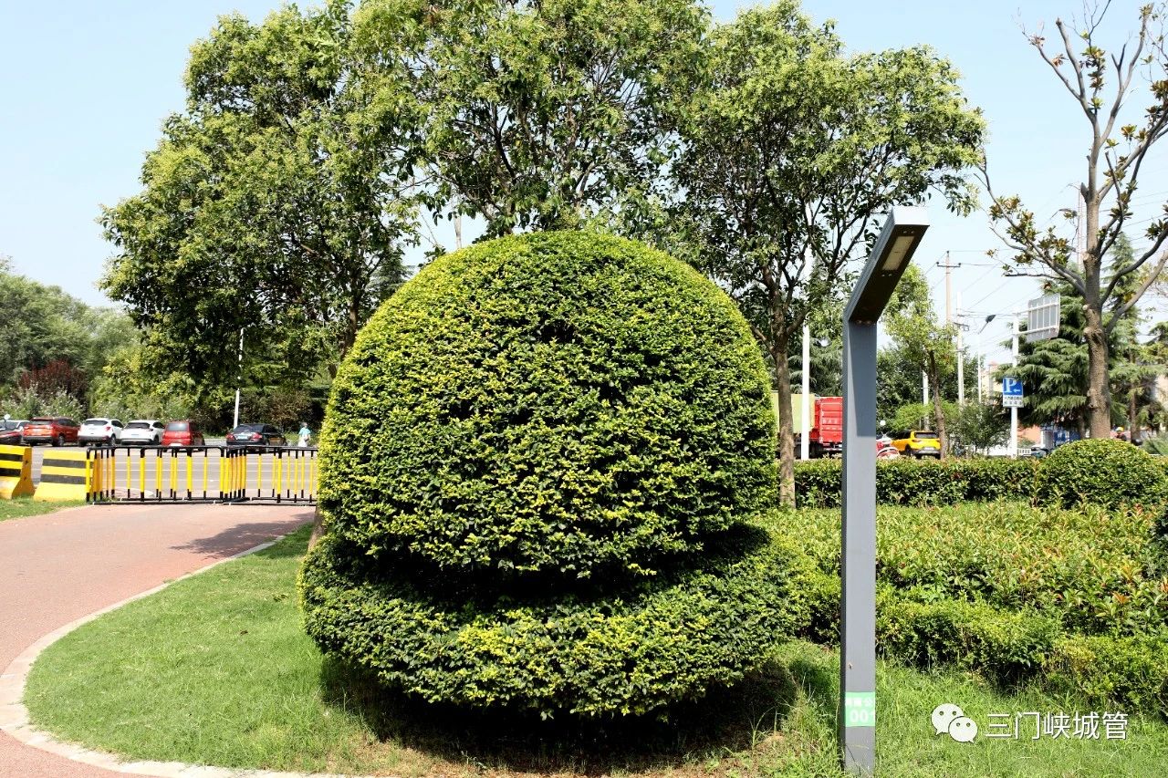 微信图片_20230811091719.jpg