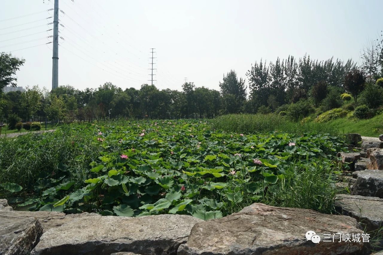 微信图片_20230811091721_2.jpg
