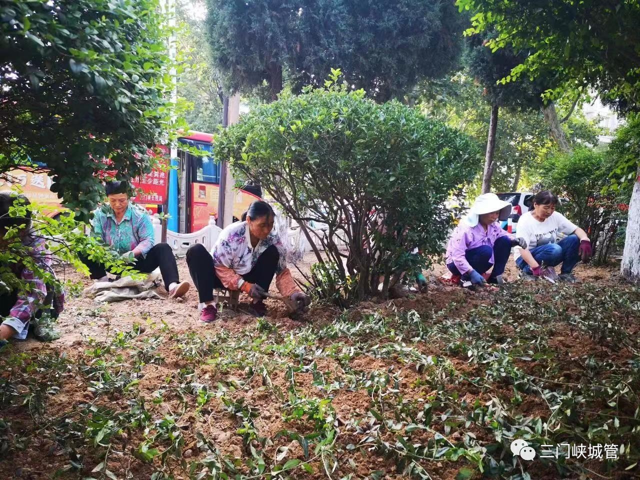 微信图片_20230920083826_1.jpg