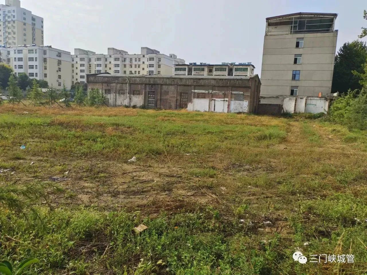 微信图片_20230920084738_5.jpg