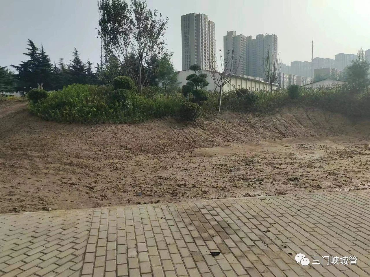 微信图片_20230920084736_1.jpg