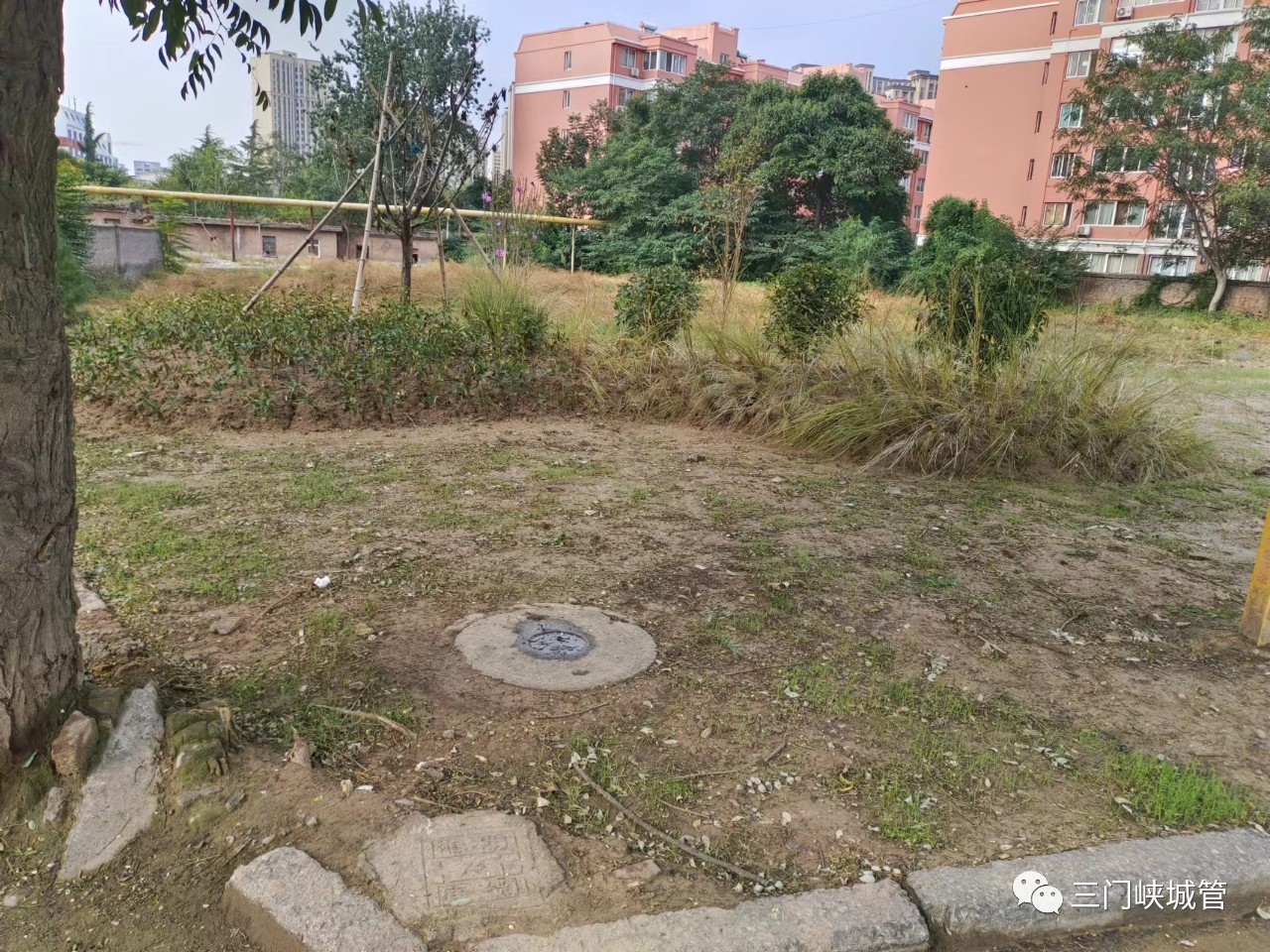 微信图片_20230920084737_3.jpg