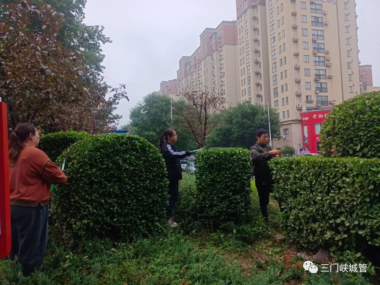 微信图片_20230929082859.jpg