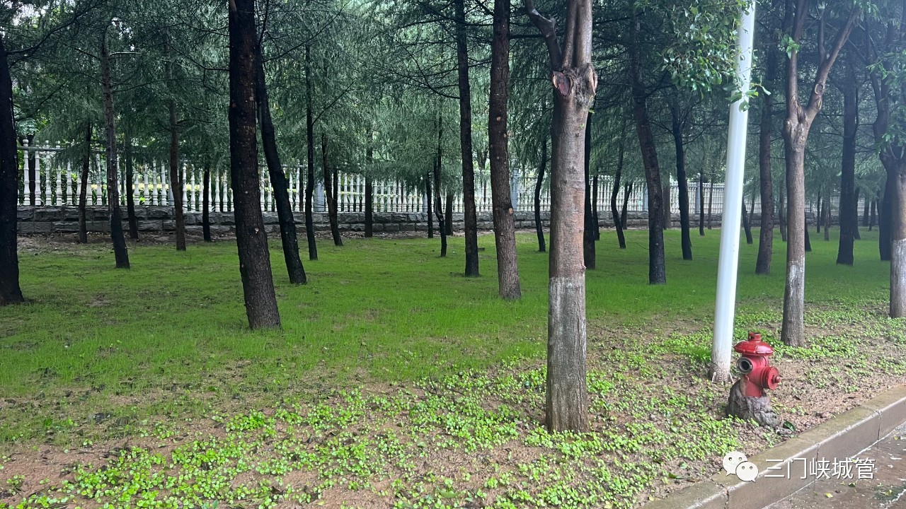 微信图片_20230929083419.jpg