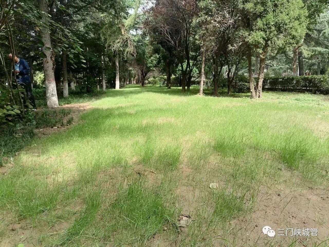 微信图片_20230829155001.jpg