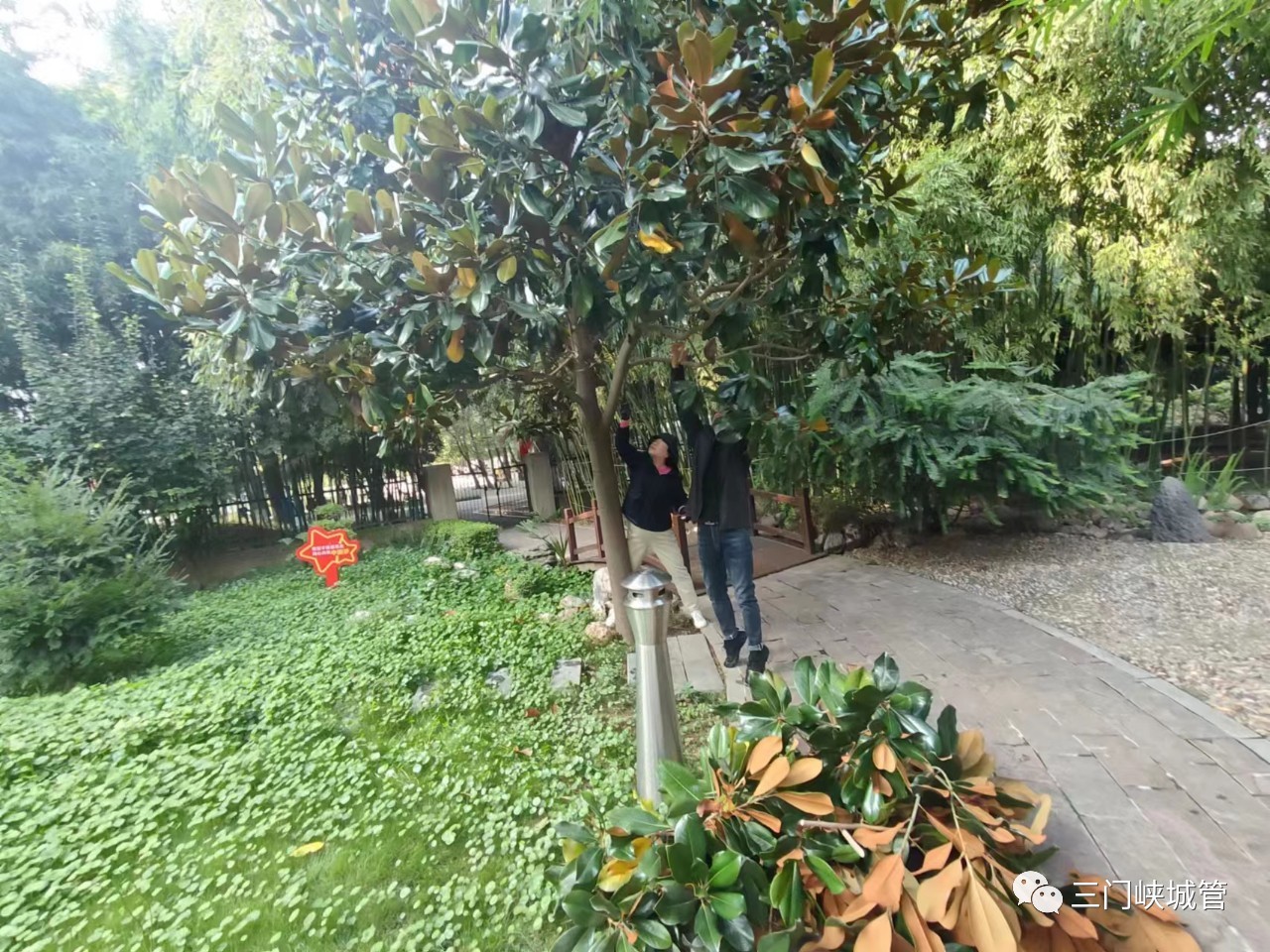 微信图片_20231016082103.jpg