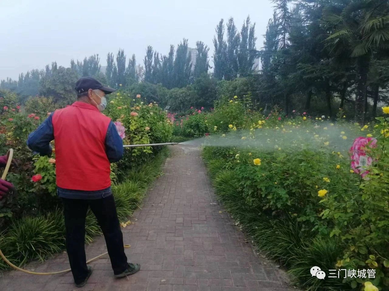 微信图片_20231020081756.jpg