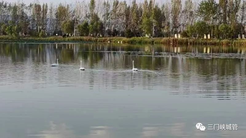 微信图片_20231020083759.jpg