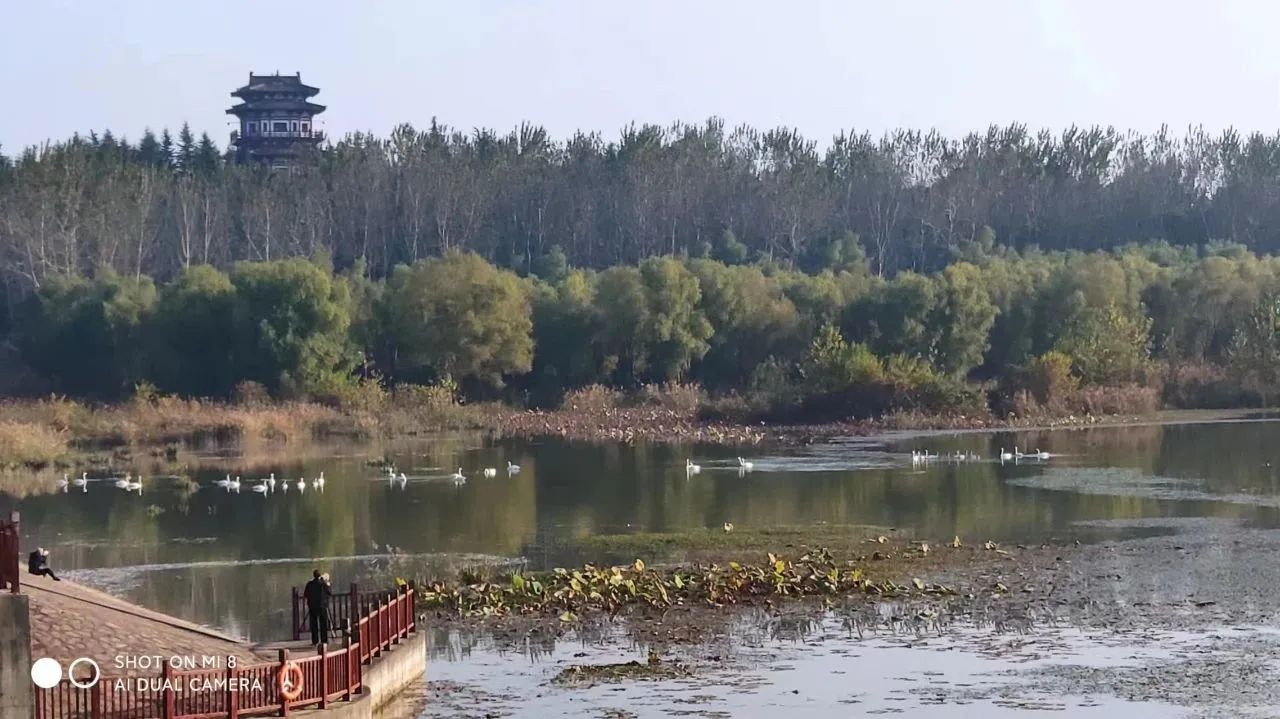 微信图片_20231102082013.jpg