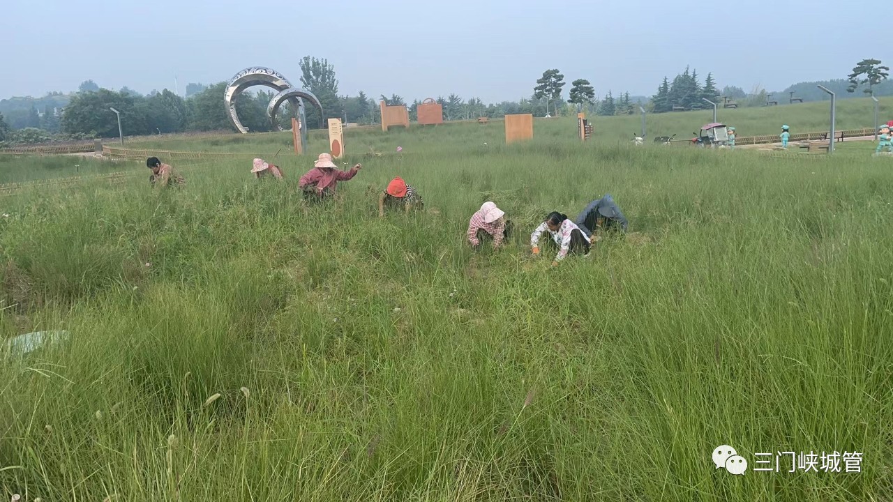 微信图片_20230915082447_5.jpg