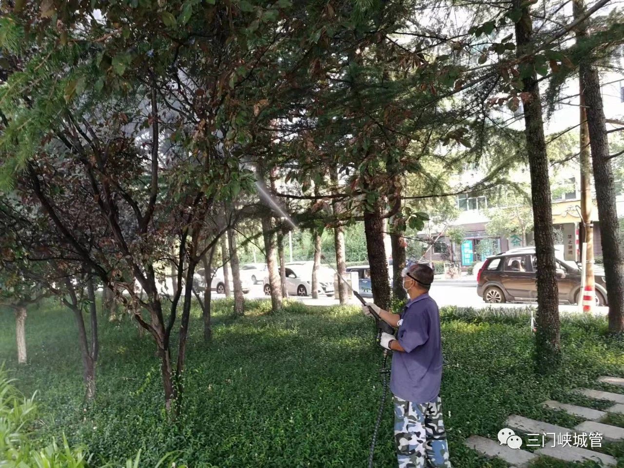 微信图片_20230918082503_2.jpg
