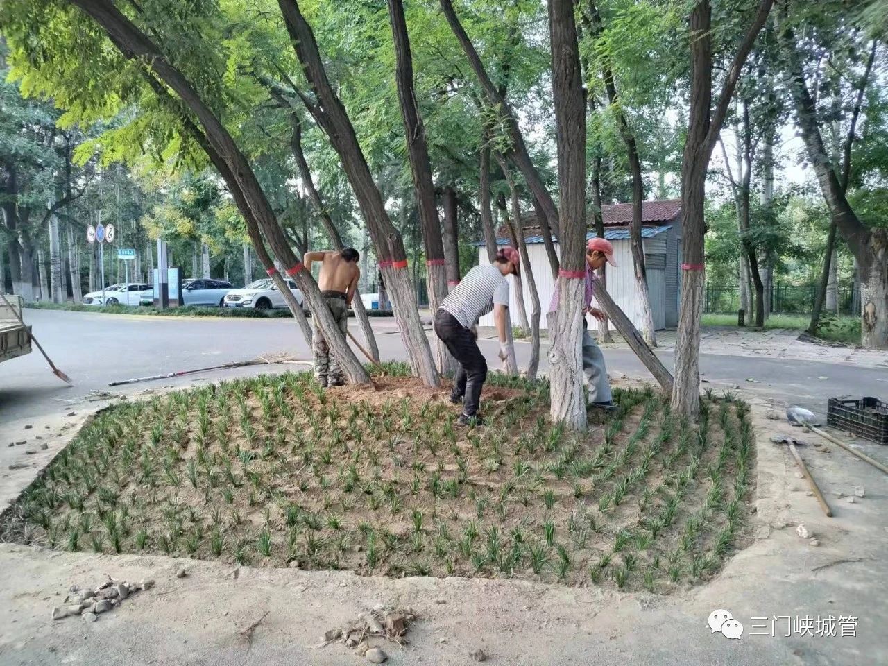 微信图片_20230926083626.jpg