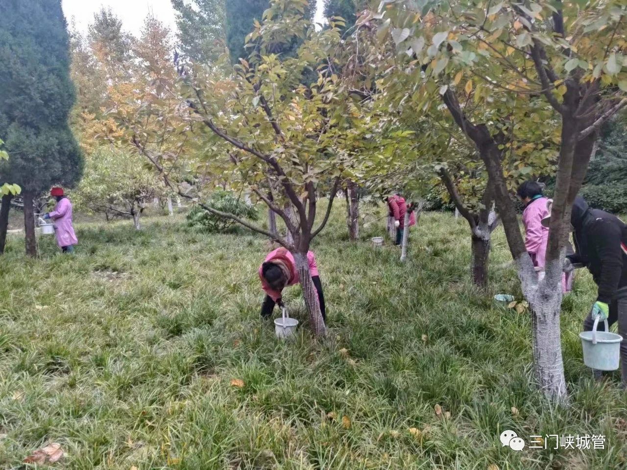 微信图片_20231117090254.jpg