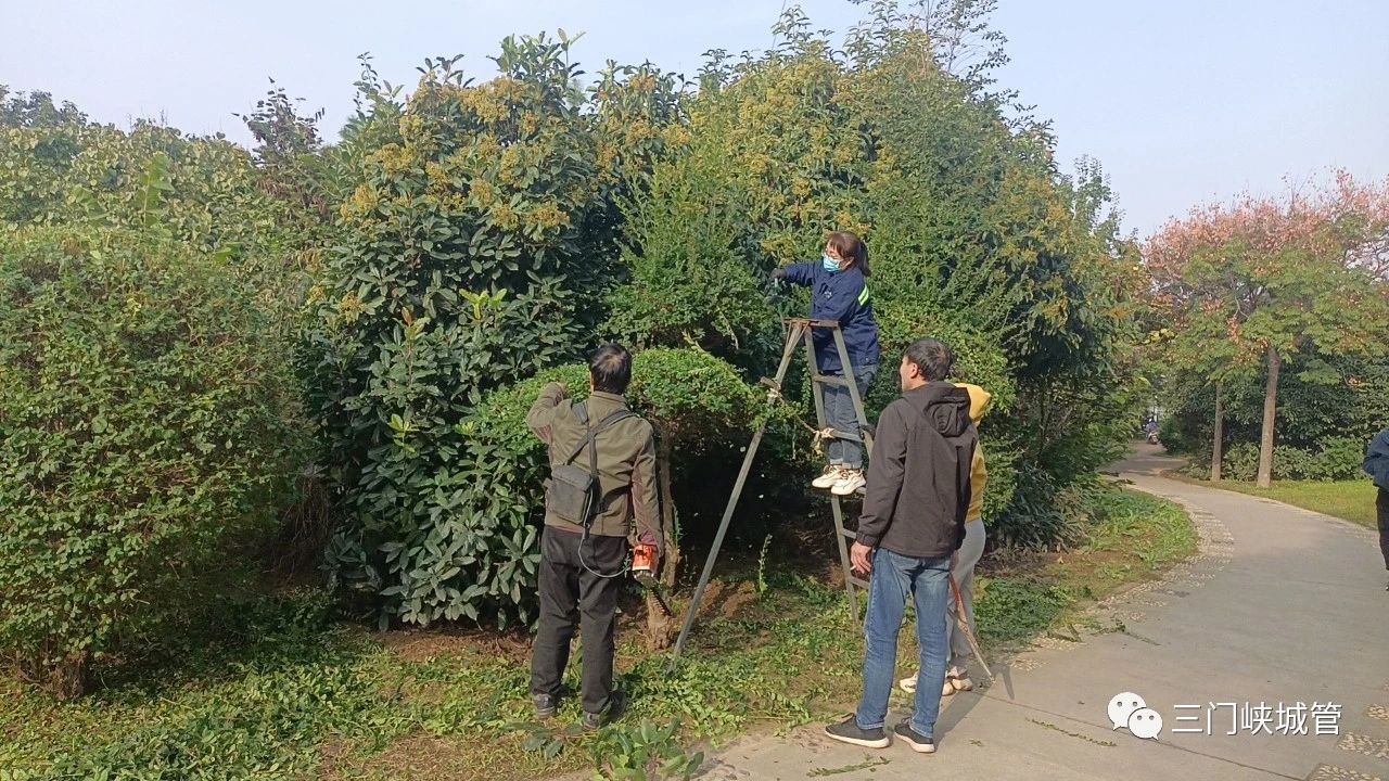 微信图片_20231016082152.jpg