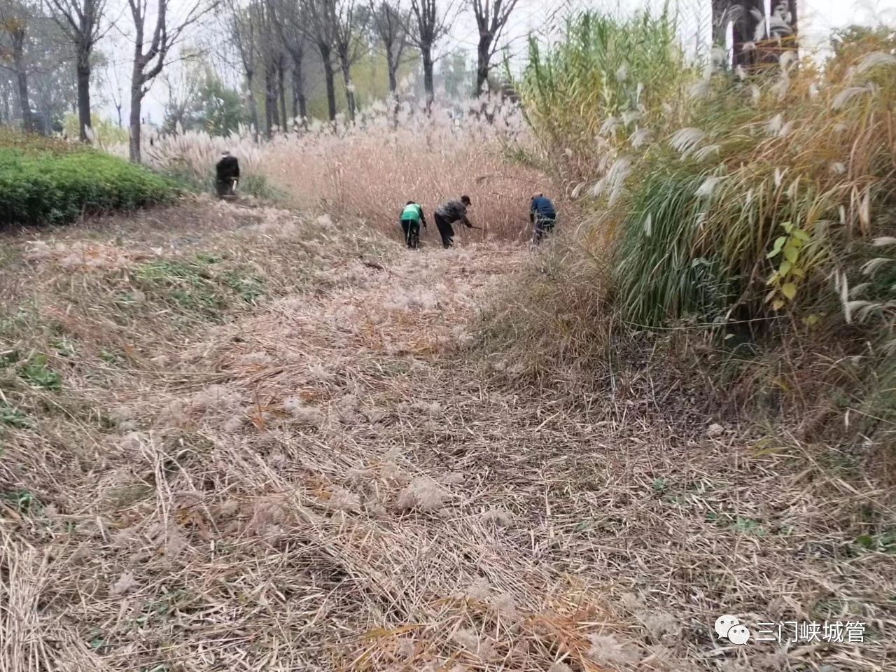 微信图片_20231127084155.jpg