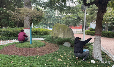 微信图片_20231030082742.png