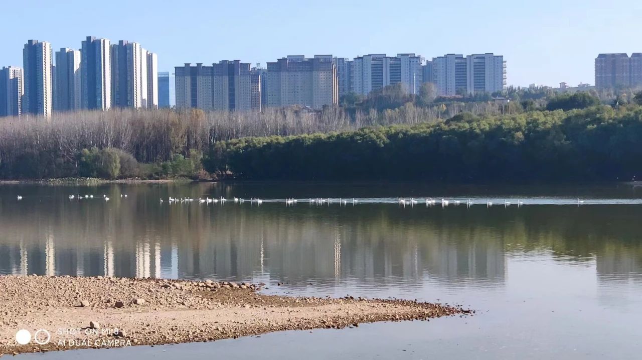 微信图片_20231102081956.jpg