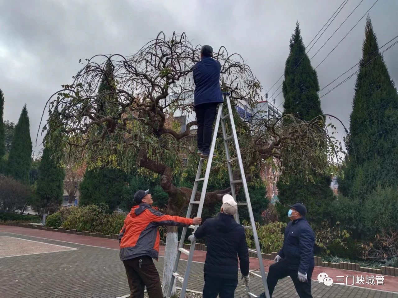 微信图片_20231219082044.jpg